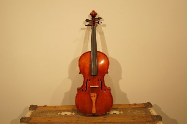 viola