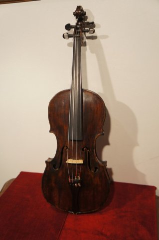 viola