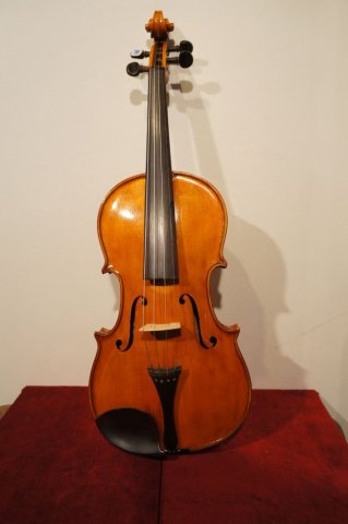 viola
