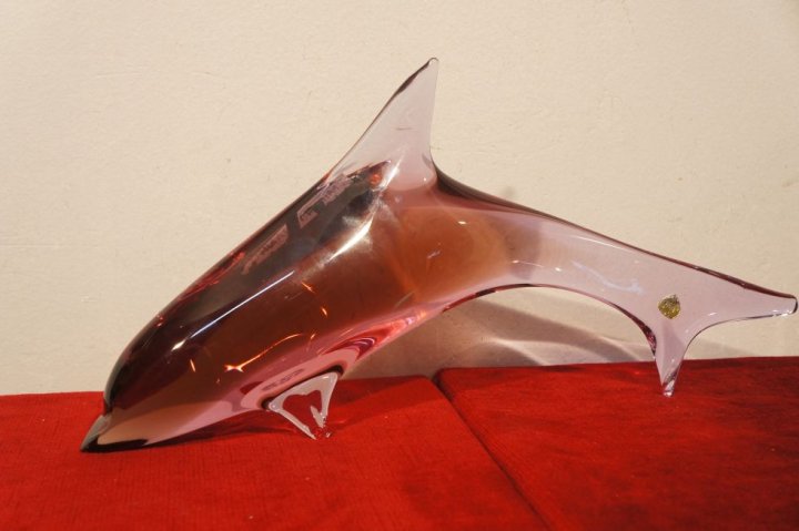 delfín