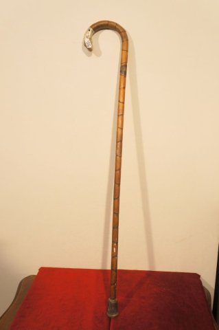 palička hákovnička