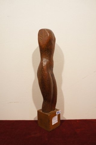 torzo drevo