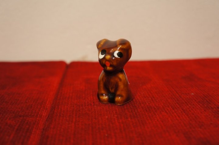 psík