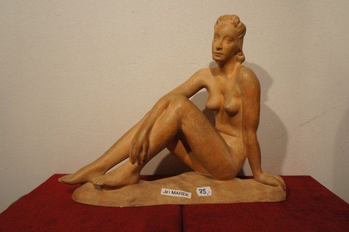 žena akt