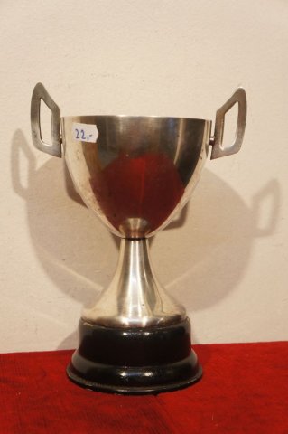 trofej pohár