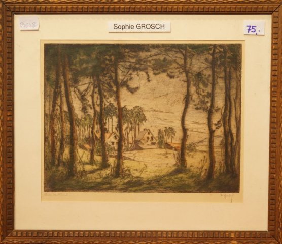 domčeky v lese