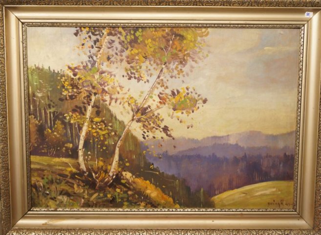 krajina brezy