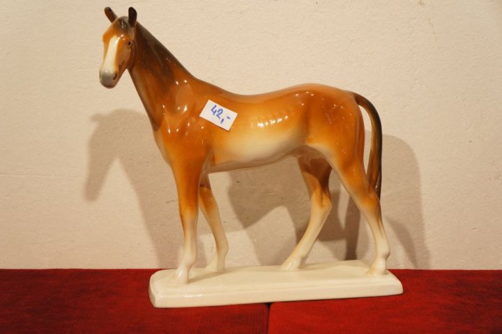 kôň