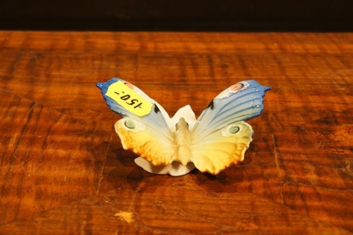 motýľ