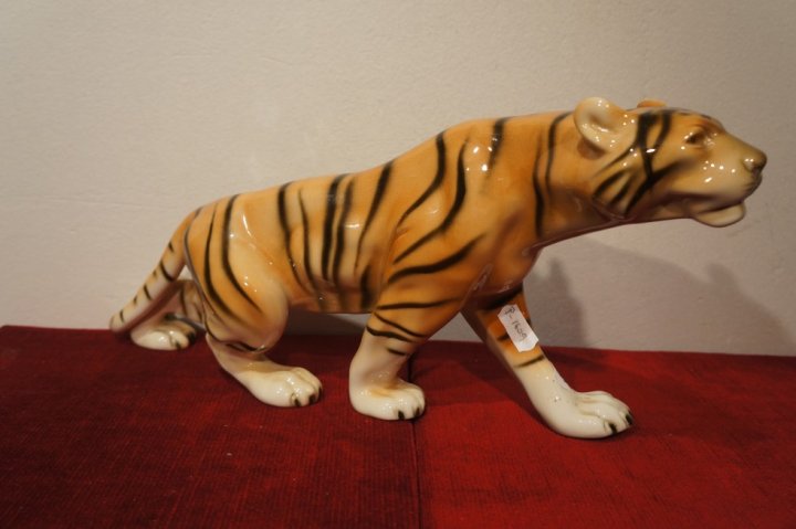tiger