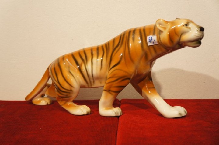 tiger